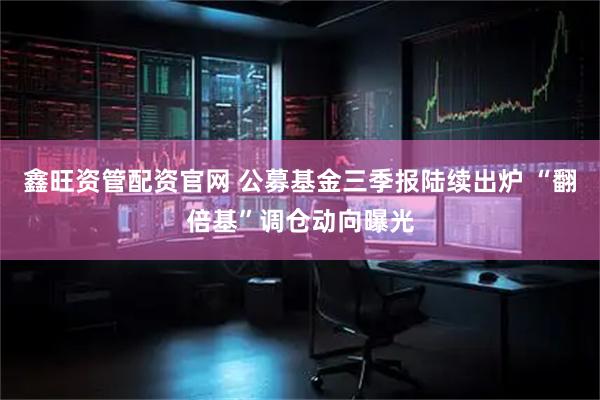 鑫旺资管配资官网 公募基金三季报陆续出炉 “翻倍基”调仓动向曝光