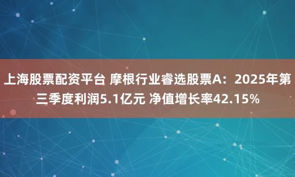 上海股票配资平台 摩根行业睿选股票A：2025年第三季度利润5.1亿元 净值增长率42.15%