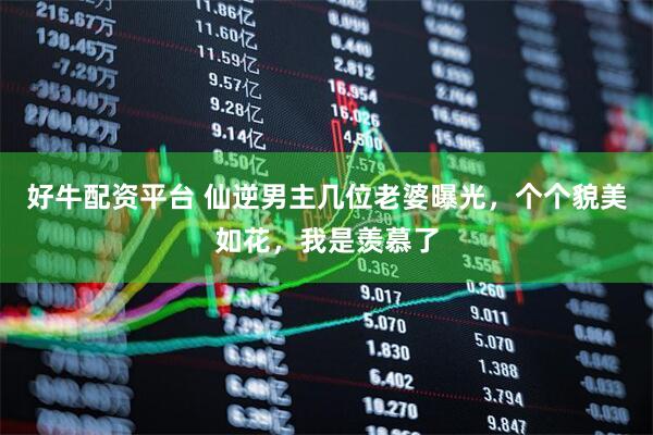 好牛配资平台 仙逆男主几位老婆曝光，个个貌美如花，我是羡慕了