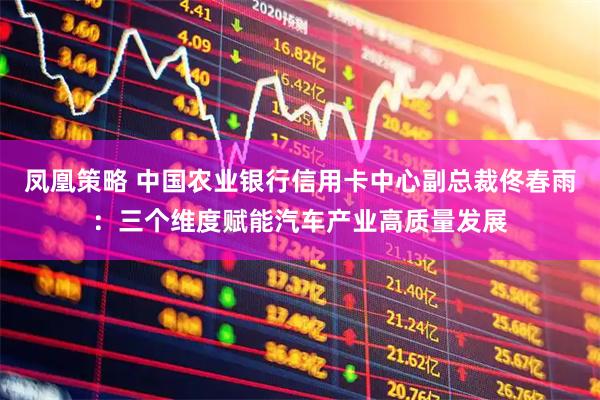 凤凰策略 中国农业银行信用卡中心副总裁佟春雨：三个维度赋能汽车产业高质量发展