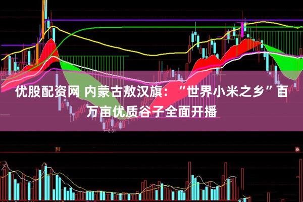 优股配资网 内蒙古敖汉旗：“世界小米之乡”百万亩优质谷子全面开播
